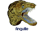 Anguille (Dessin)
