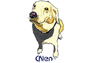 Chien (Peinture)