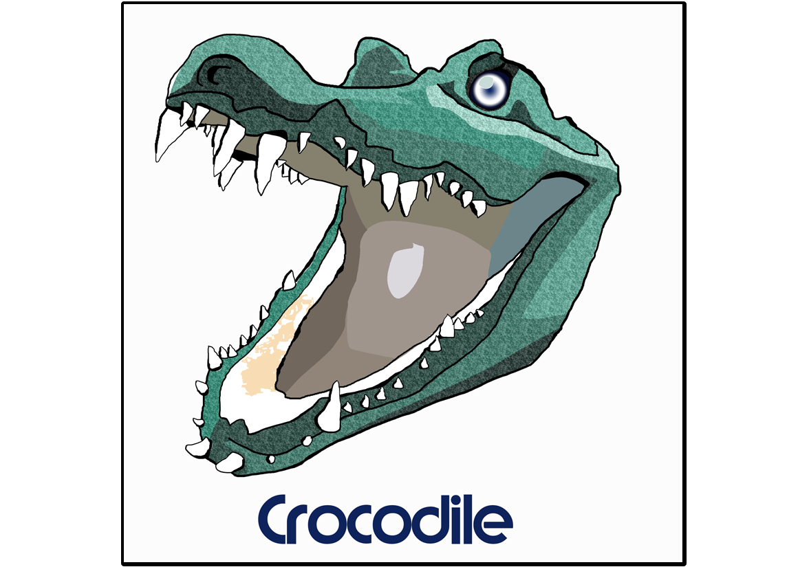 Crocodile (Dessin)
