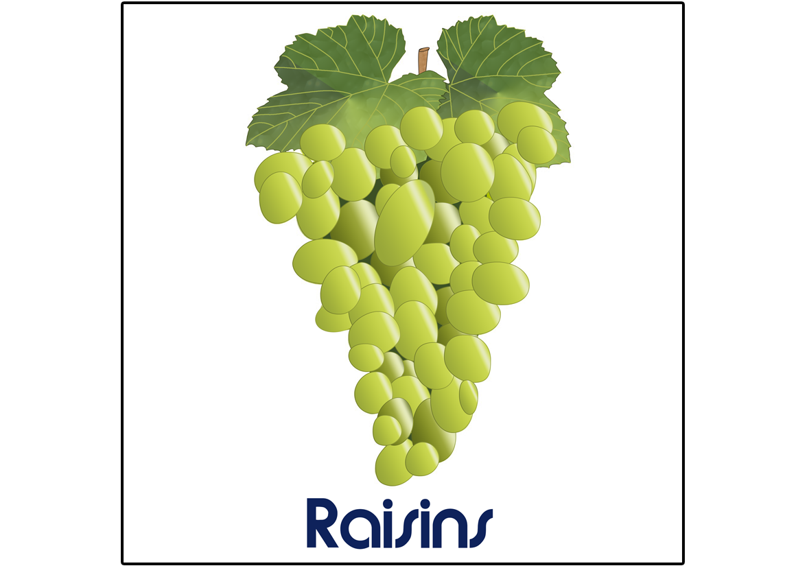 Raisins (Dessin)