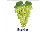 Raisins (Dessin)