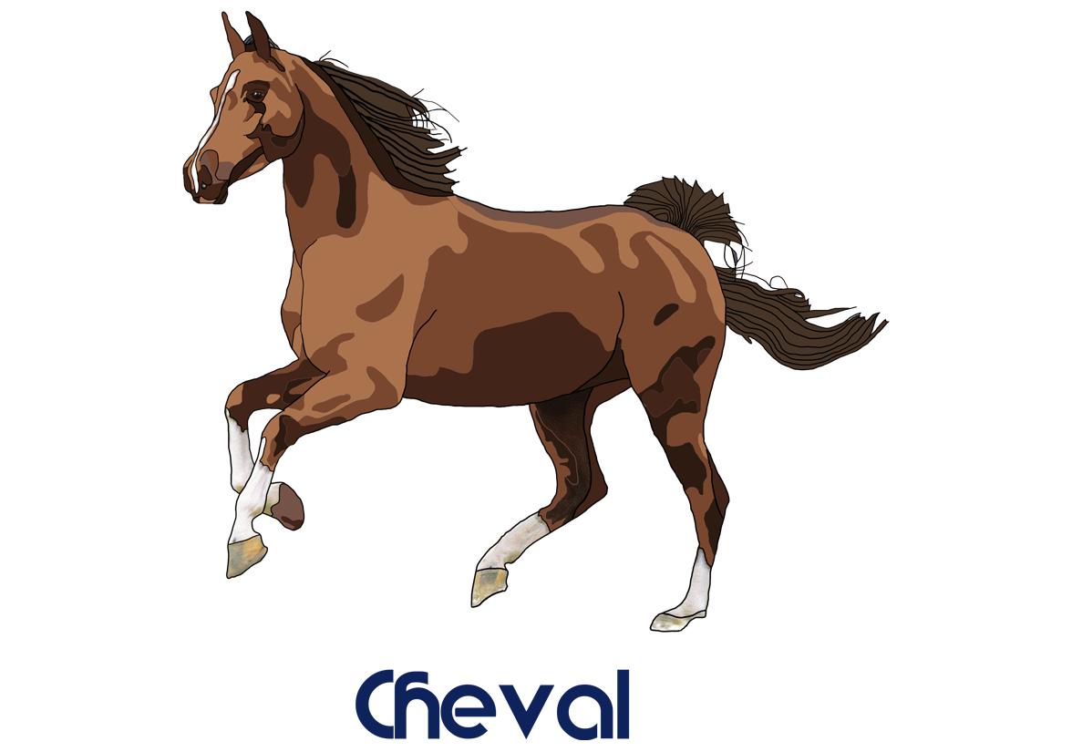 Cheval (Dessin)