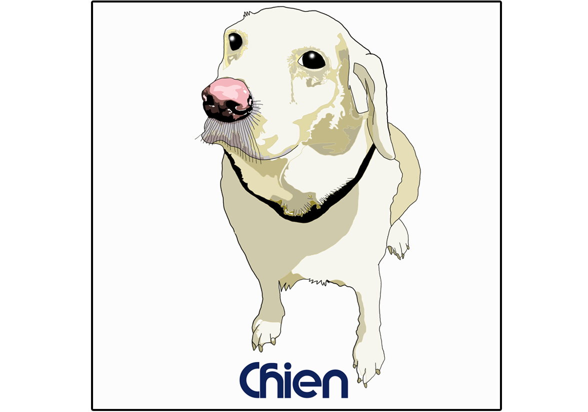 Chien (Dessin)