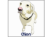 Chien (Dessin)