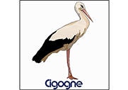 Cigogne (Dessin)