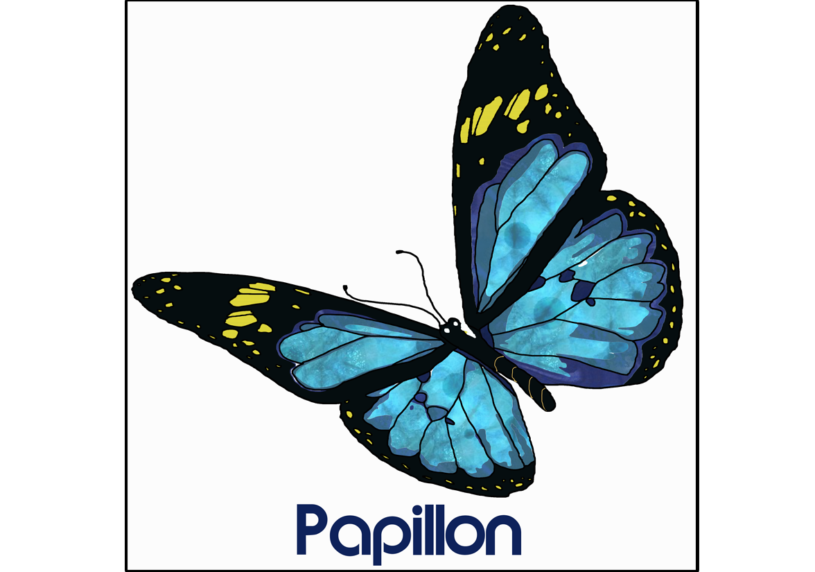 Papillon (Dessin)