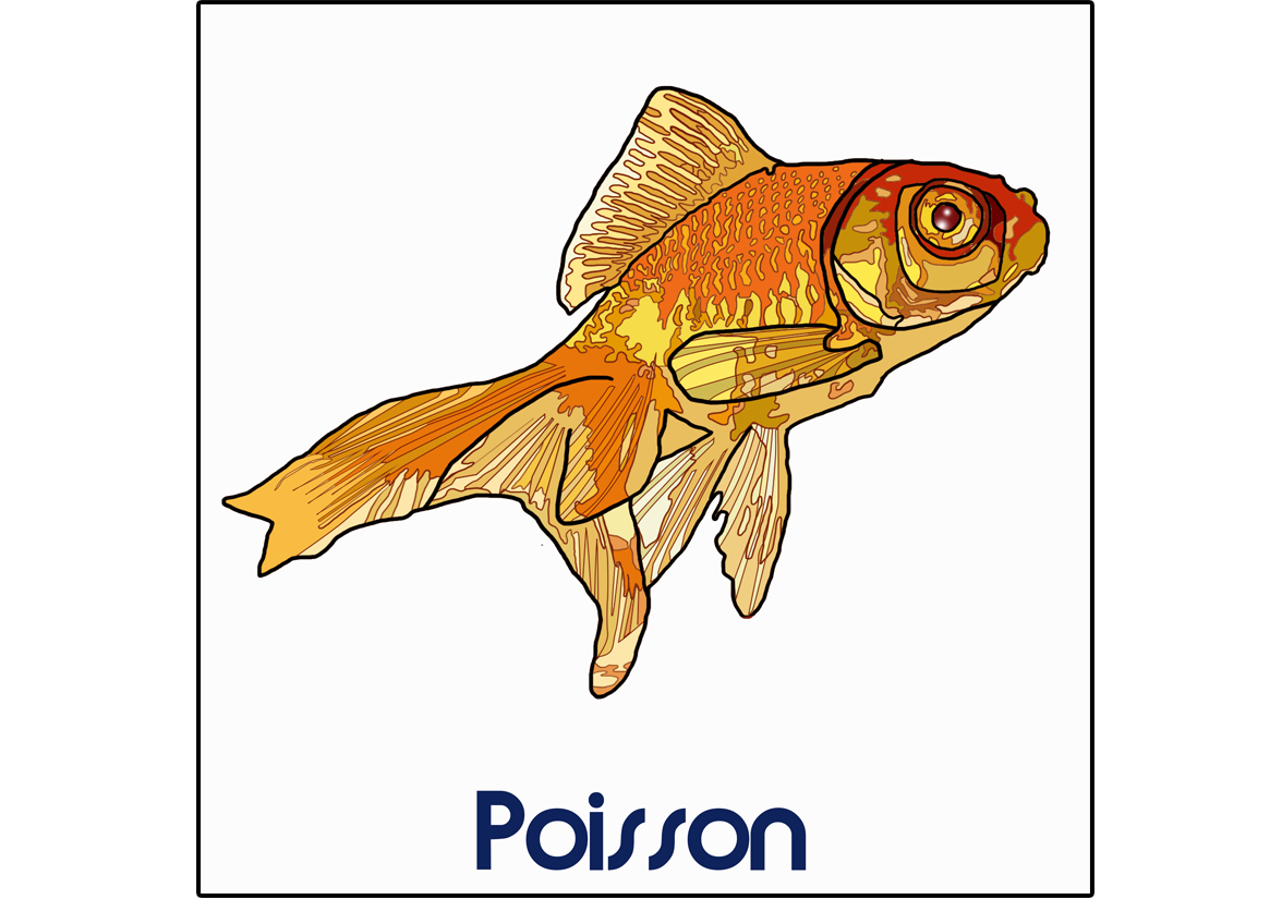 Poisson (Dessin)