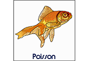 Poisson (Dessin)