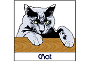 Chat (Dessin)