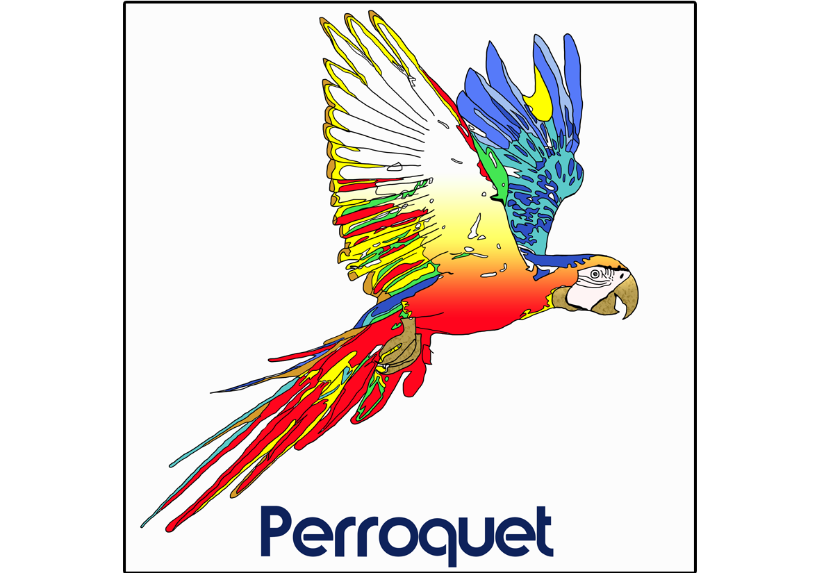Perroquet (Dessin)