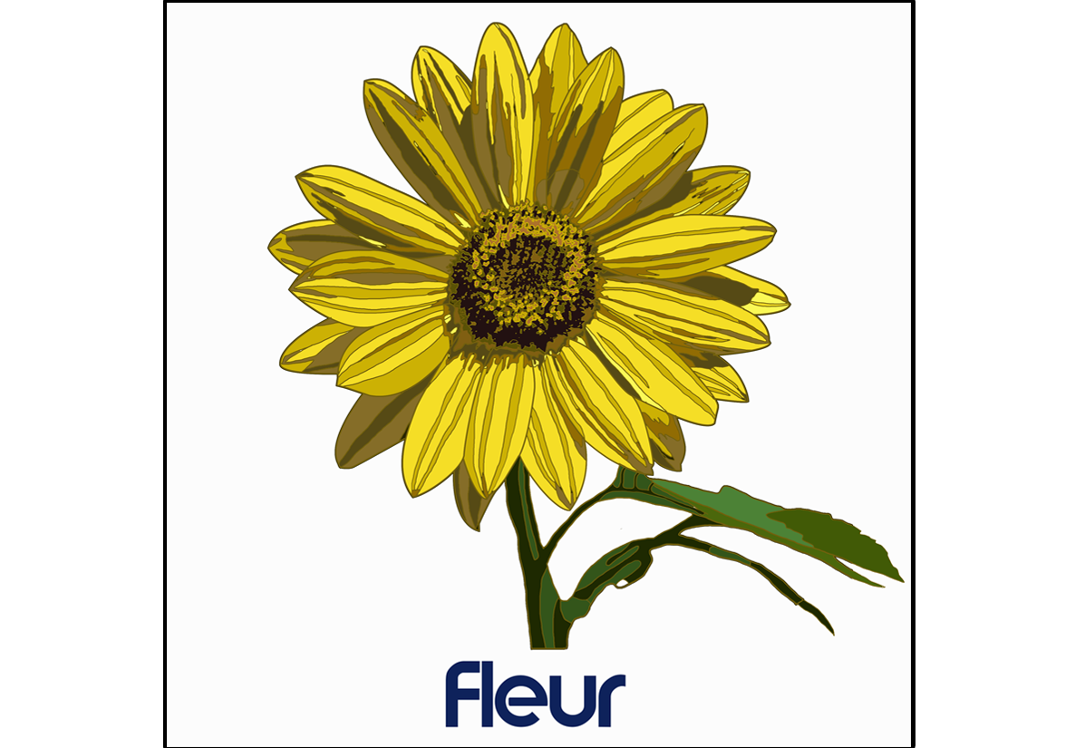 Fleur (Dessin)