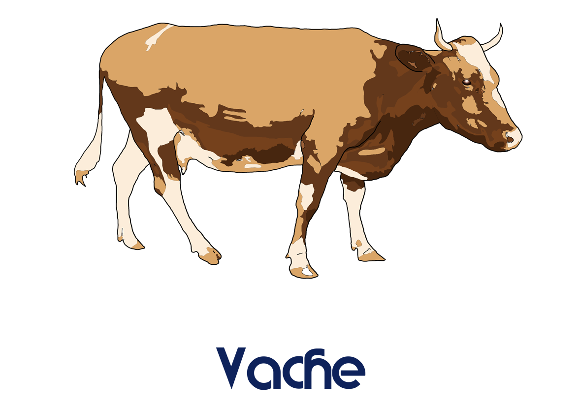 Vache (Dessin)