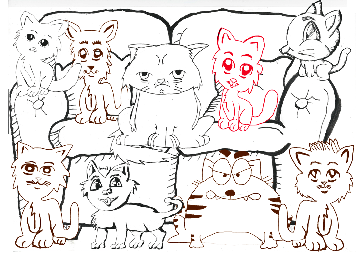 Chat Série 1 - Ensemble