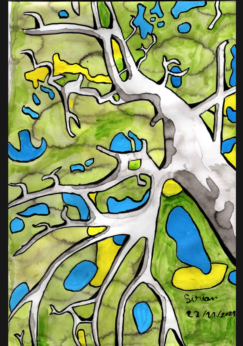 L'arbre en contre plongée