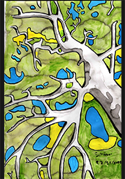 L'arbre en contre plongée