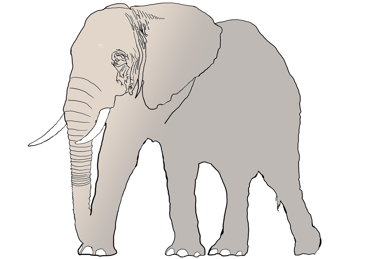 L'éléphant