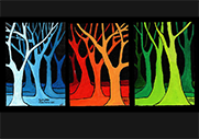 Les arbres colorés : Tryptique