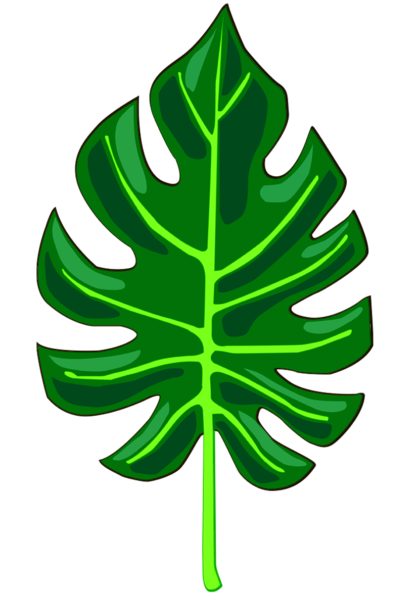 Feuille de Philodendron