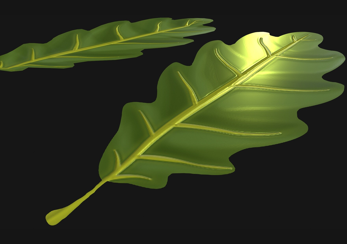 La feuille de chêne