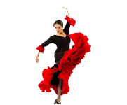 Flamenco 1
