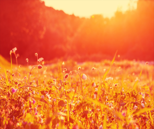 Summertime version 1