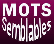 Jeu « Mots semblables » 
